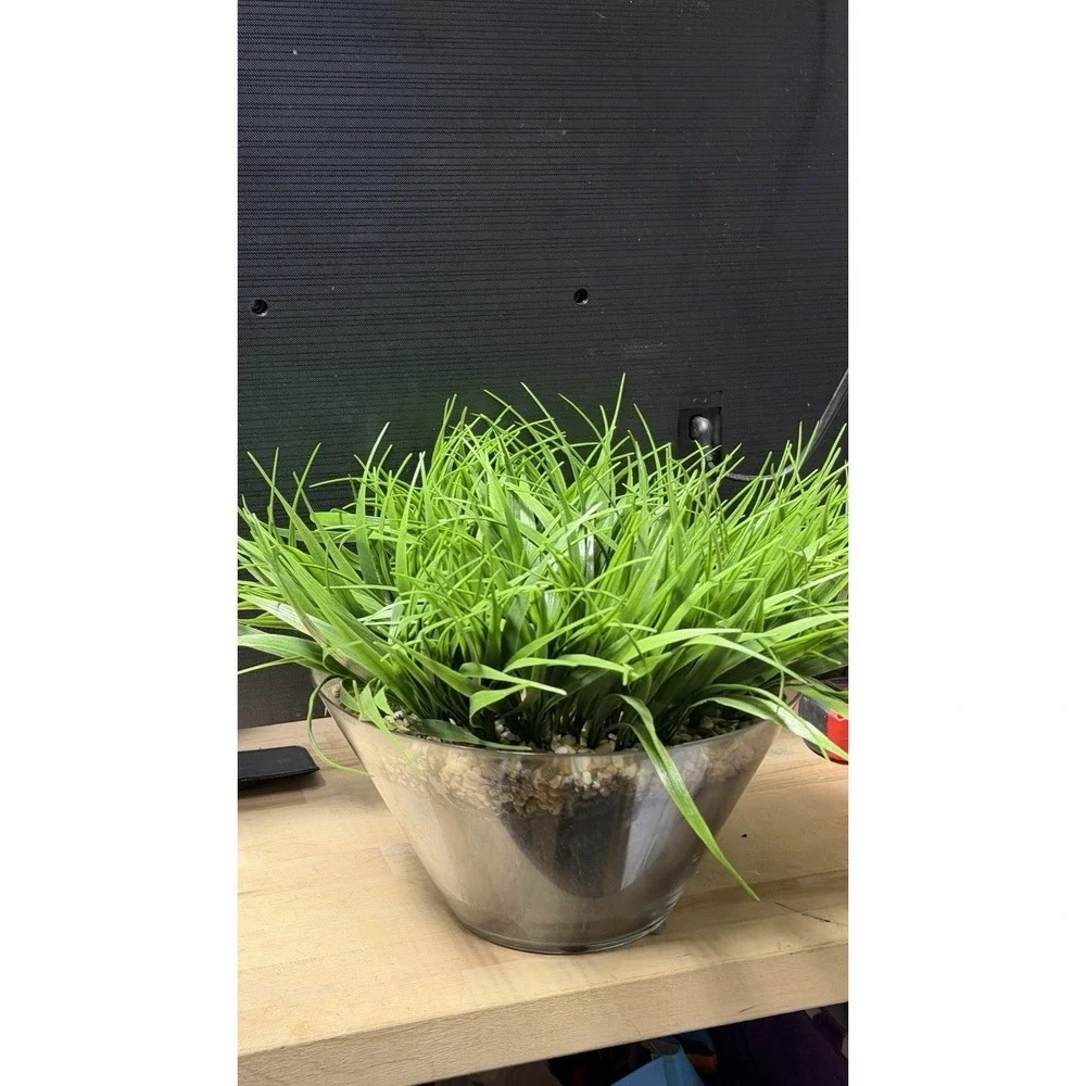 Artificial Grass Plant in Glass Pot Faux Green Decor ~12